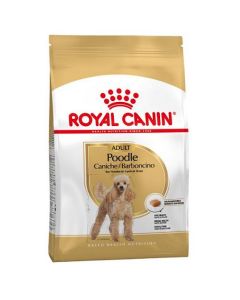Royal Canin POODLE adult