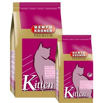 Bento Kronen: Premium Kitten