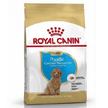 Royal Canin POODLE JUNIOR 