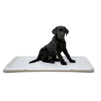 Toalet za štence XL 60 x 90cm