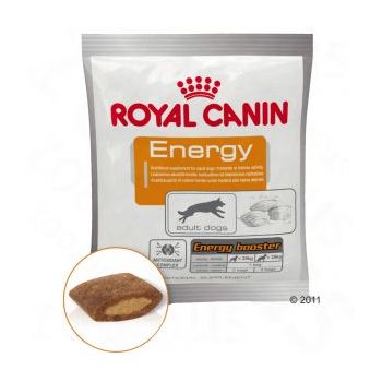 Royal Canin ENERGY 50g