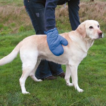 Trixie: Rukavica za sušenje od mikrofibera