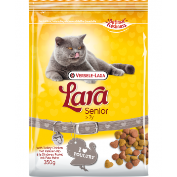 Lara: Senior