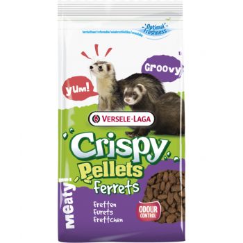 Versele Laga: Crispy Pellets Ferrets, 700 g