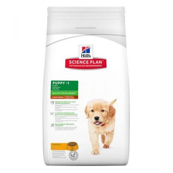 Hill’s: Science Plan Large Puppy