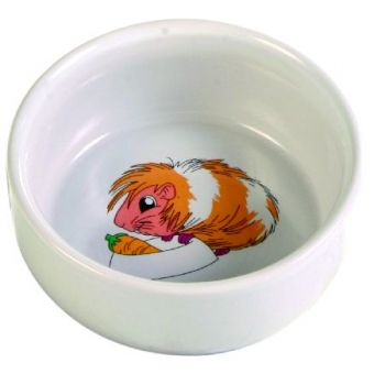 Činija za morsko prase, sa motivom 250 ml / 11 cm