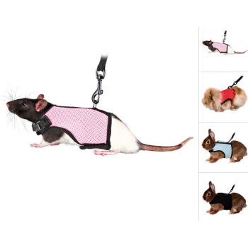 Meki am sa povodcem za glodare