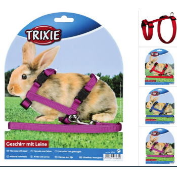 Am sa povodcem za zeca ili morsko prase II