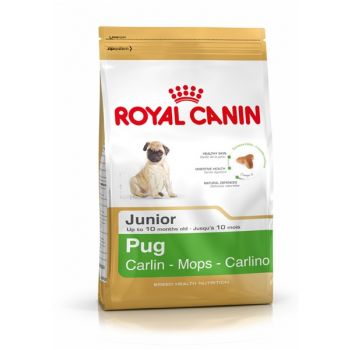 Royal Canin Pug (mops) Junior 1.5 kg
