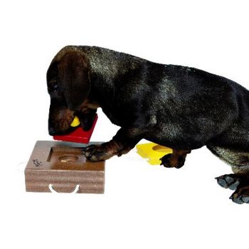 Igračka za pse "dog gamble" 15x9x15