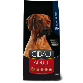 Adult Maxi 12kg