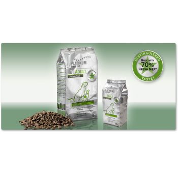 Platinum: Adult Piletina