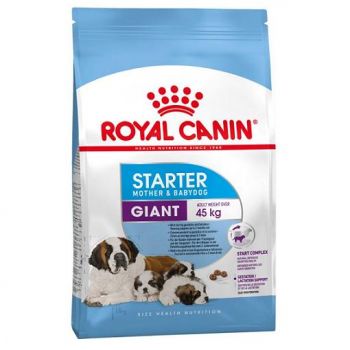 Royal Canin Giant Starter 