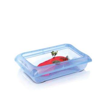 Imac: Terarijum Atlantis