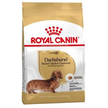Royal Canin DACHSHUND (Jazavičar)
