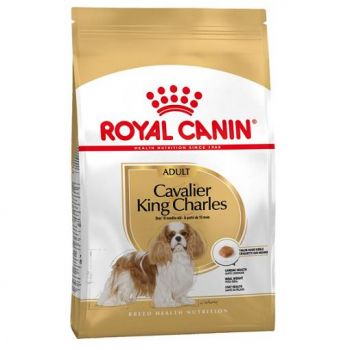 Royal Canin Cavalier King Charles