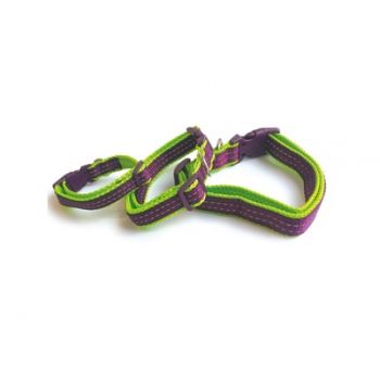 Ogrlica za pse Comfort