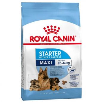 Royal Canin Maxi Starter 