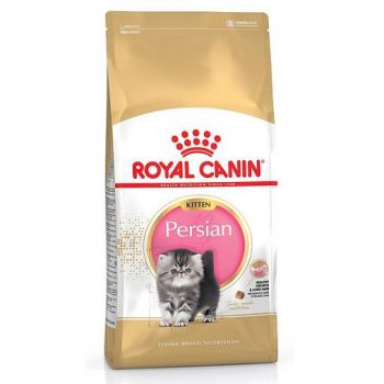Royal Canin Kitten PERSIAN 32