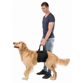 Trixie: Pomagalo za hodanje*