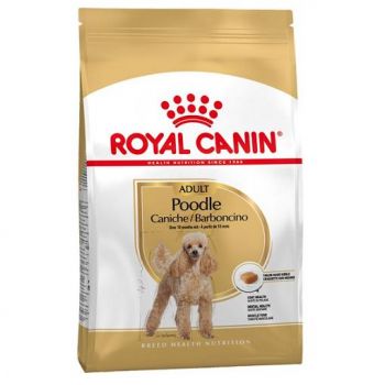Royal Canin POODLE adult
