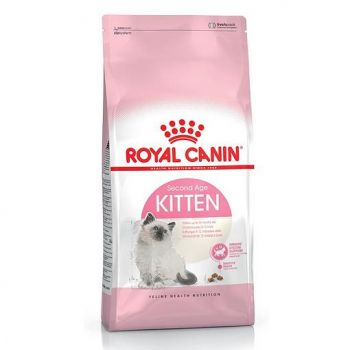 Royal Canin KITTEN 36