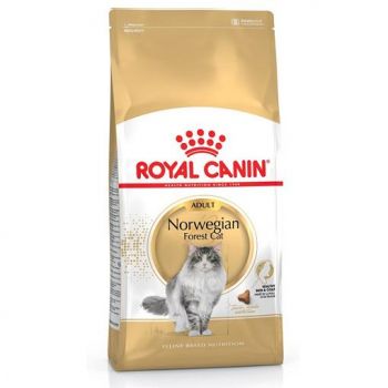 Royal Canin: Breed Nutrition Norwegian Forest Cat, 2 kg