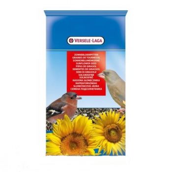 Versele Laga: Šareni suncokret za papagaje
