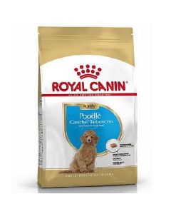 Royal Canin POODLE JUNIOR 