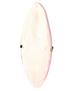 Sipina kost sa držačem, 16 cm