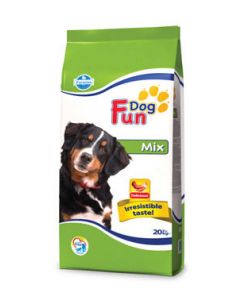 Fun Dog Mix