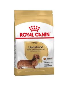 Royal Canin DACHSHUND (Jazavičar)